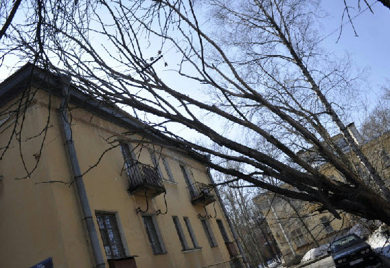 Пять районов Ленобласти остались без электричества