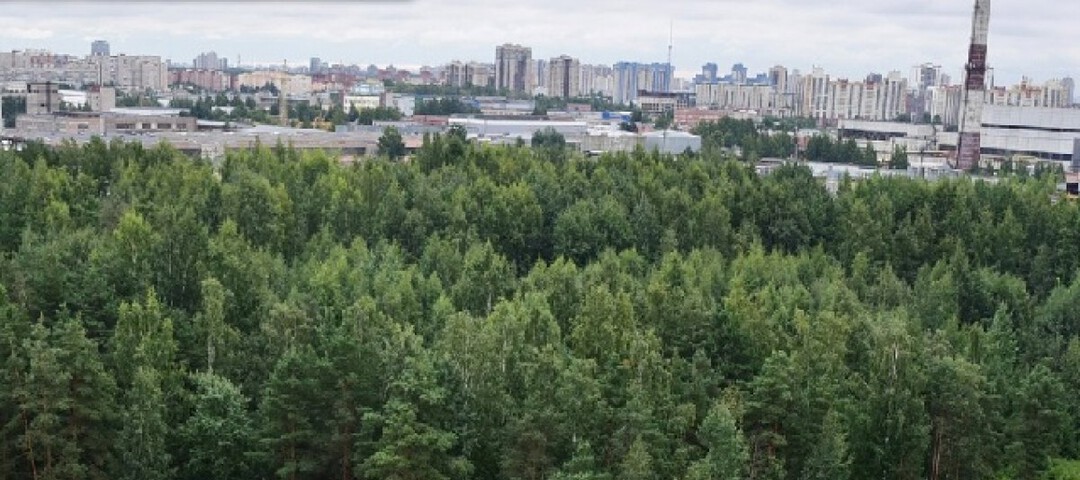 Победа за зелёной зоной в Шуваловском лесу